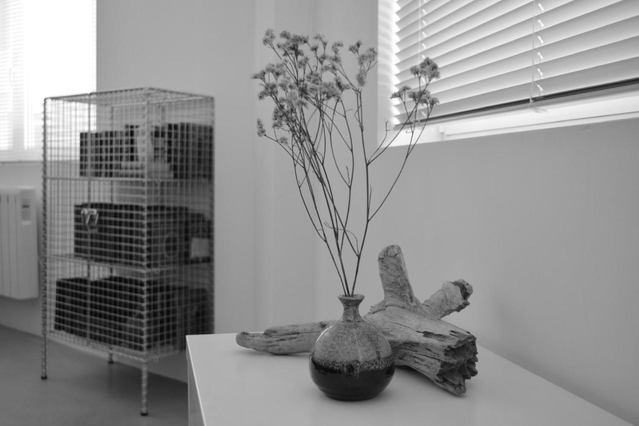 Loft Bed & Breakfast A Coruña Dış mekan fotoğraf